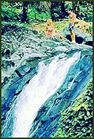 wed01.jpg (25766 bytes)